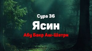Сура 36 Ясин - Абу Бакр Аш-Шатри