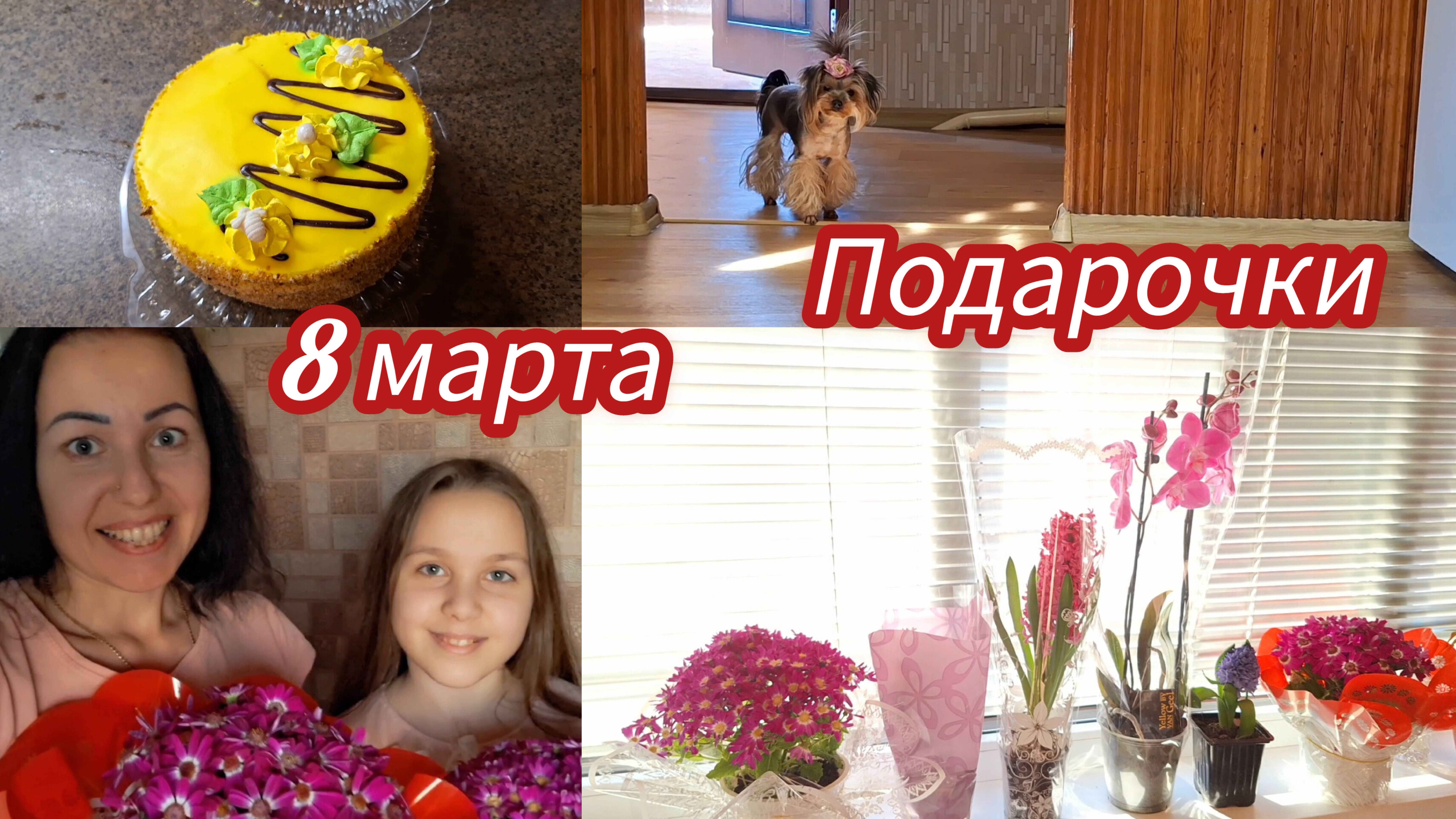 🪻🌹ДЕВОЧКИ С 8 МАРТА ВАС МОИ ХОРОШИЕ🪻🌹#мариупольсегодня #семьяизмариуполя #мариуполь