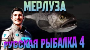 Мерлуза. РР4. Норвежское Море