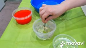 КОМНАТНЫЕ РАСТЕНИЯ(ЦВЕТЫ).НОВИНОЧКА.КЛОН МОНСТЕРЫ.