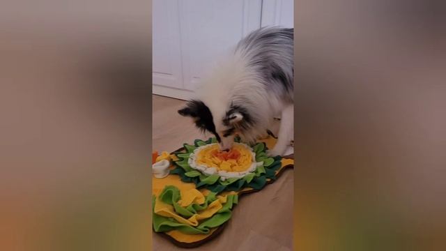 Моя прогулка с собакой 012 смотреть онлайн