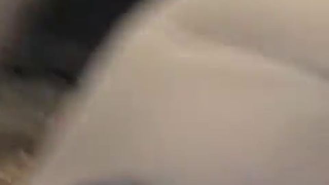 Смотаный пробег Jeep Liberty смотреть онлайн