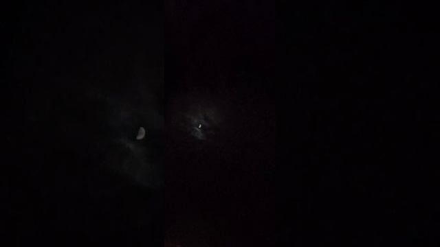 Белгород. Ракетная опасность. Месяц в небе ночном, огни фонарей в яблоневой листве... 15 мая 2024г.