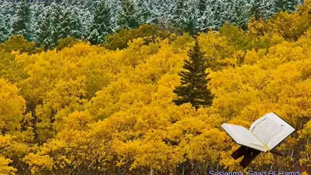 094. СураАш-Шарх
Прекрасное чтение Корана Чтец: Саадом Аль Гамиди смотреть онлайн