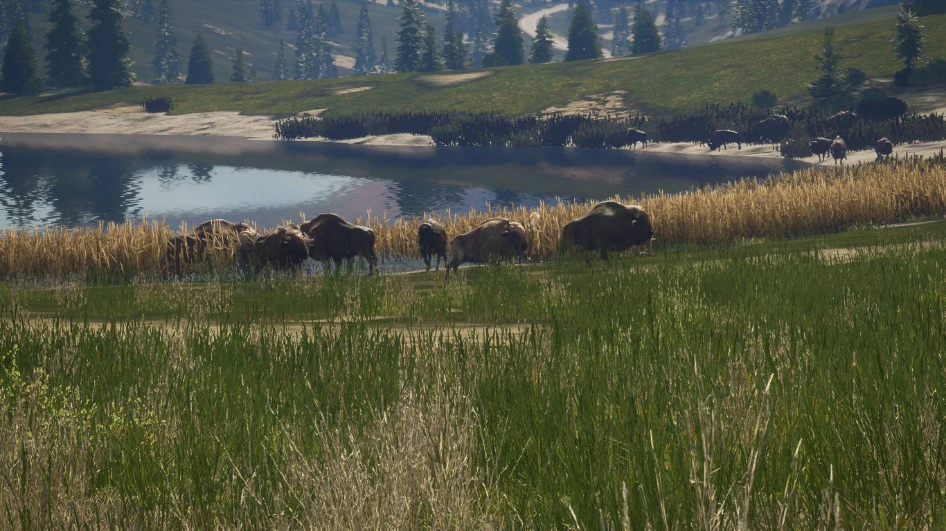 theHunter: Call of the Wild™