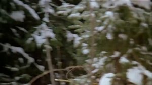 Фильм сказка Три орешка для Золушки