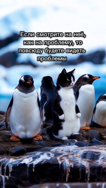 Жизнь - это возможность или проблема? #творец #материализациямыслей #раскрытиесердца #силасознания