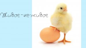 Живое- неживое 🥚