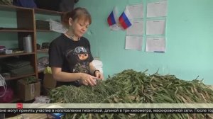 Руки горожан помогут бойцам СВО 02.04.2025