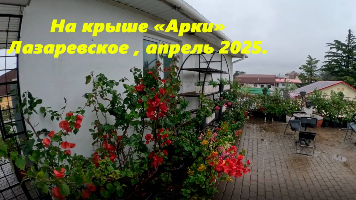 Лазаревское 03.04.2025. На крыше "арки", ул.Калараш. ЛАЗАРЕВСКОЕ АРКА, ЛАЗАРЕВСКОЕ КАЛАРАШ.