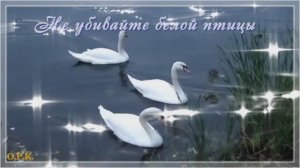 НЕ УБИВАЙТЕ БЕЛОЙ ПТИЦЫ