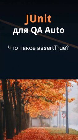 JUnit для QA Auto. Что такое assertTrue()?