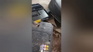 муравей топ