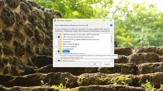 Windows Sandbox Failed to Start, Error 0x80070057, the Parameter Is Incorrect