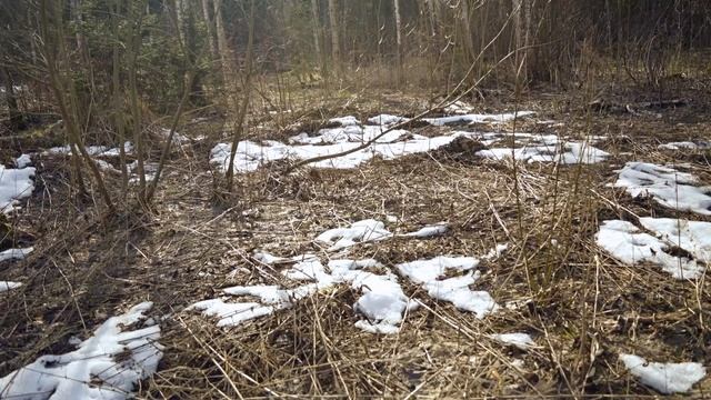 Загорские дали. Март 2020