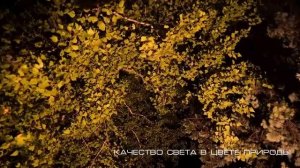 Ставрополь освещение проспекта  Октябрьской Революции светильниками ЦЕРС