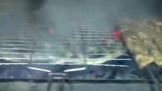 Уже готовиться в мангале заказ Ваш будущий у нас! смотреть онлайн