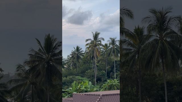 Випассана. Мой опыт прохождения смотреть онлайн