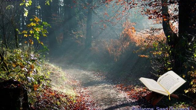 089. Сура Аль-Фаджар
Прекрасное чтение Корана Чтец: Саадом Аль Гамиди смотреть онлайн