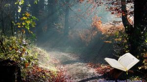 089. Сура Аль-Фаджар
Прекрасное чтение Корана 
Чтец: Саадом Аль Гамиди