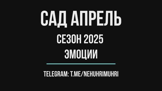 Сад апрель  2025 эмоции