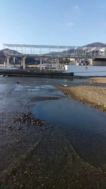 Река Хоста впадает в Черное море. #shorts. #короткое_видео.