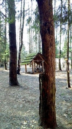 В нашем парке