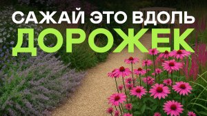 Я Бы Никогда Не Посадила Эти 5 Растений Вдоль Дорожек (невозможно ходить!)