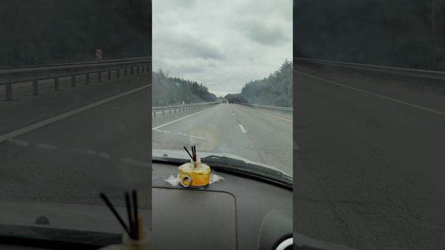 Видео N 81