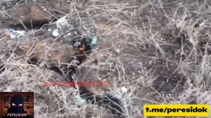 Фауер-шоу от ВСУшника