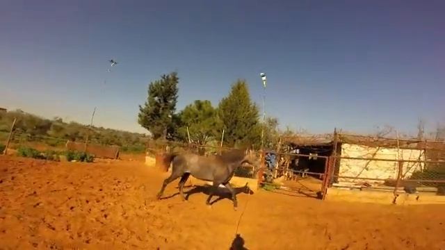 альВард идет на меня задом смотреть онлайн