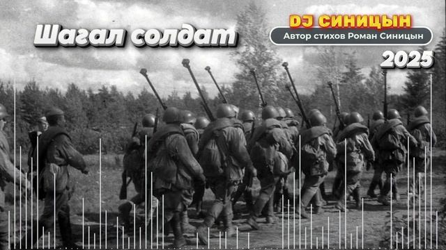 DJ СИНИЦЫН - Шагал солдат