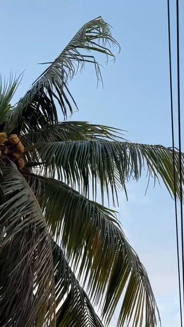 Абхазское посольство в Никарагуа