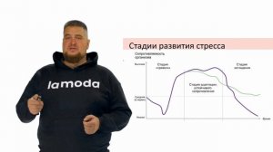 Ламода и Jalinga — как ускорить обучение в 10 раз без потери качества