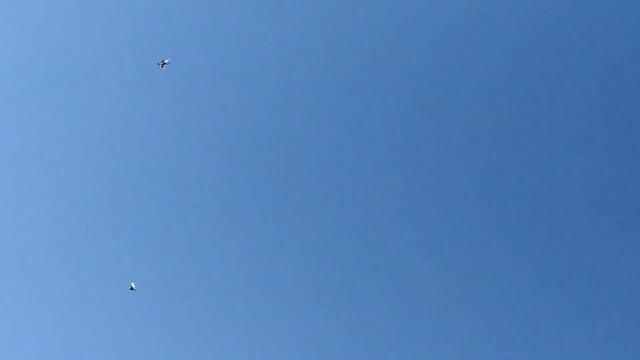 Перерыв в гоне, отрицательно влияет на лëт голубей! смотреть онлайн