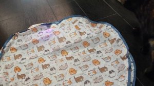 Новая игрушка