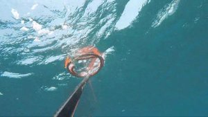 Spearfishing Bali Indonesia  12/2023 Подводная охота Бали Индонезия