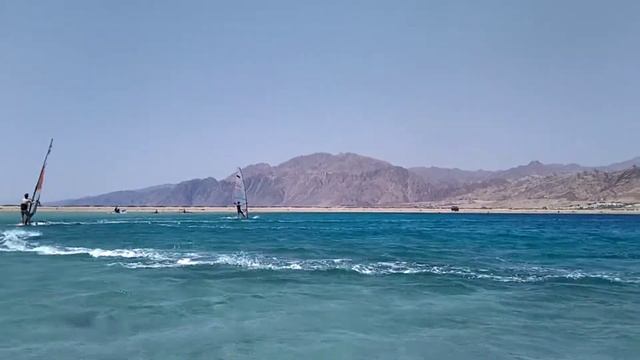 Дахаб 2021.Сарвер отрабатывает фордевинд.WindsurfKids. смотреть онлайн