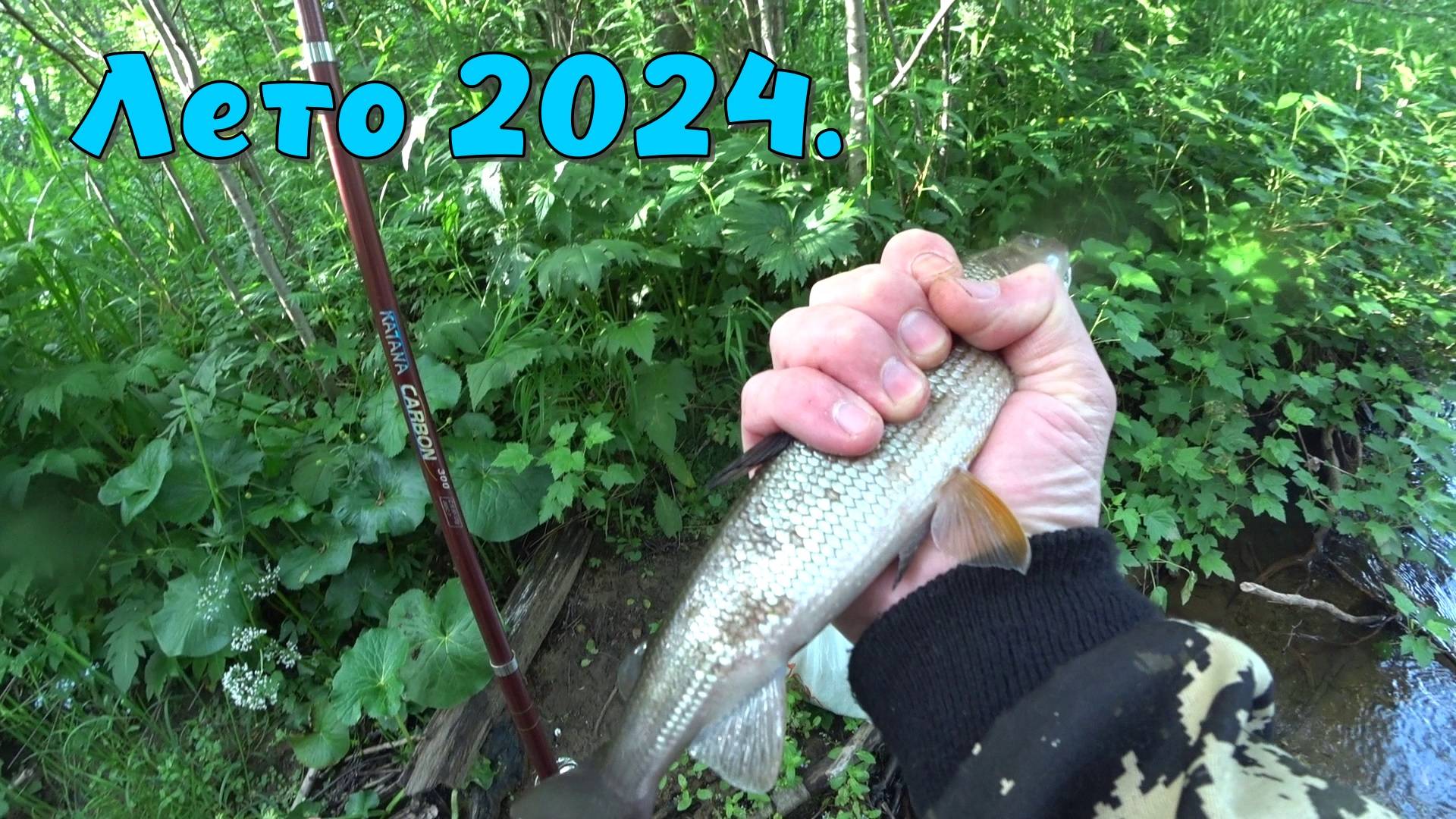 Лето 2024. Природа, рыбалка.