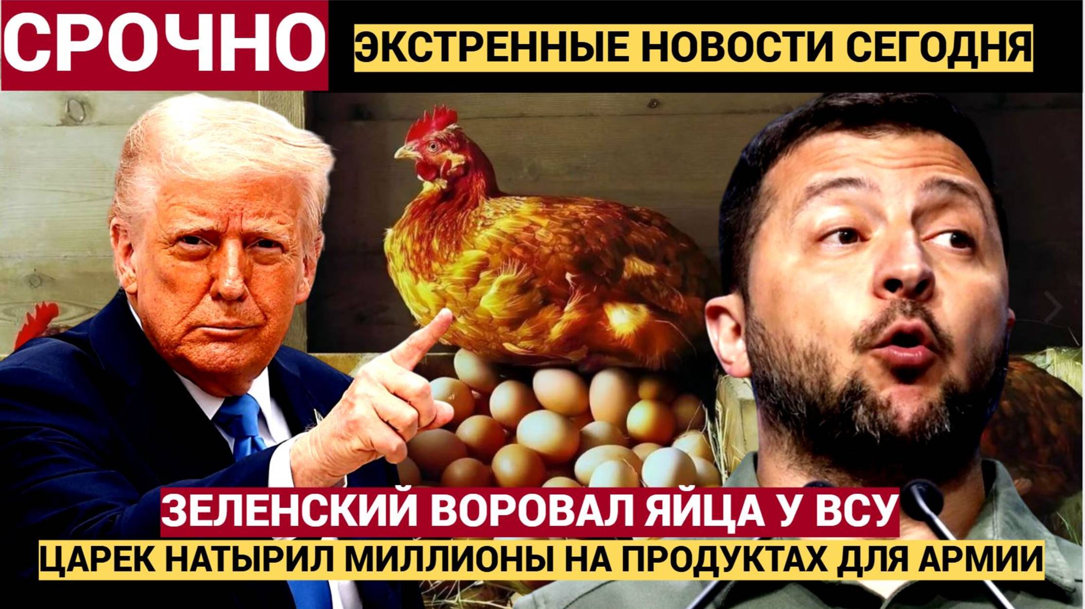 У ТРАМПА ПАРИК ДЫБОМ! Зеленский и Минобороны Украины Наворовали миллионы на яйцах для ВСУ