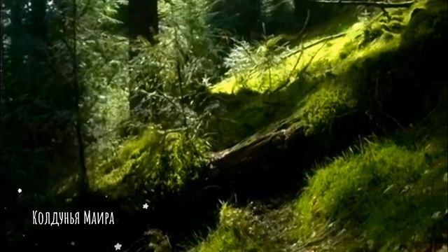 Энергия природы #эзотерика