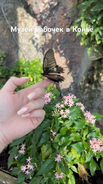 Хотели бы побывать? смотреть онлайн