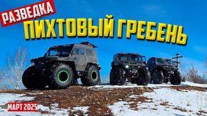 пихтовый гребень на Тайпанах