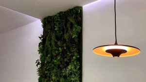 Зеленая стена из искусственных растений