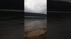 Зонтики из камыша