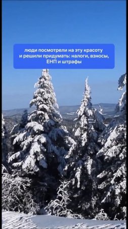 И вот мы здесь