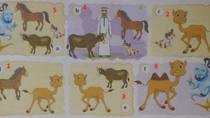 TEAM UP 5 2 часть страница 25