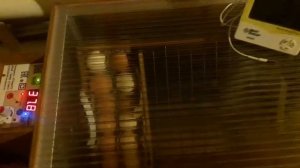 Впечатление от инкубатора Блиц 48*9