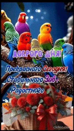 ДОБРОГО ВАМ ДНЯ.  .Shorts.
