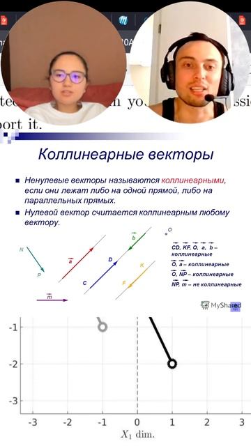 Коллинеарный Вектор что это?  || Линейная алгебра для Data Science #datascience  #numpy #matplotlib